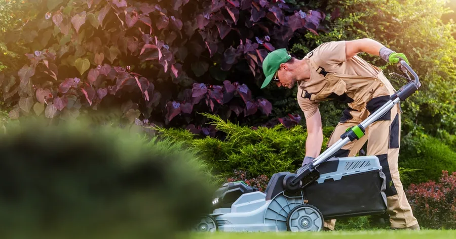 Professional Lawn Care: Enhancing Beauty, Saving Time, Protecting Your Investment
