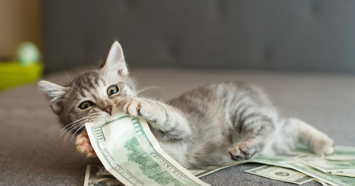 Can I Afford to Keep My Pet?