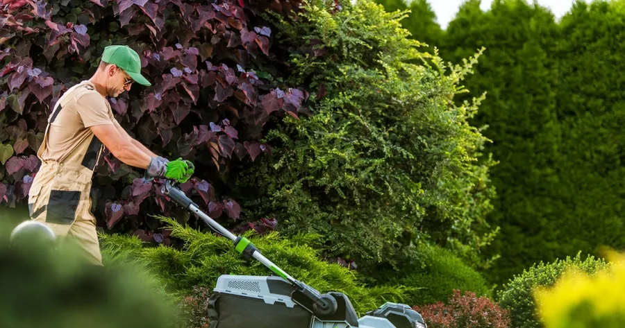 Get the Best Lawn Care and Landscaping at Low Prices