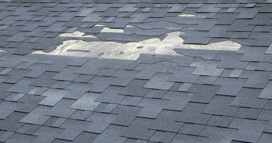 Why Your Roof Might Be Failing You – And How to Fix It Fast!