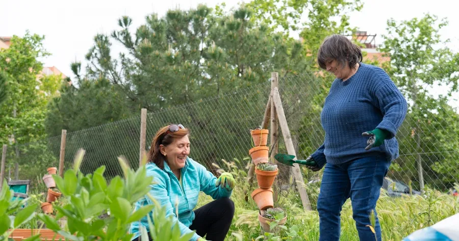 How To Start a Community Garden