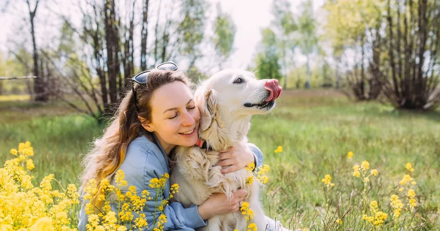 Understanding Dog Body Language: What Your Pup is Really Trying to Tell You