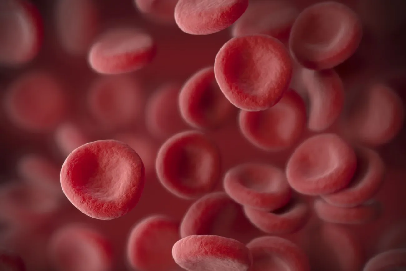 Everything You Need to Know About Hemophilia