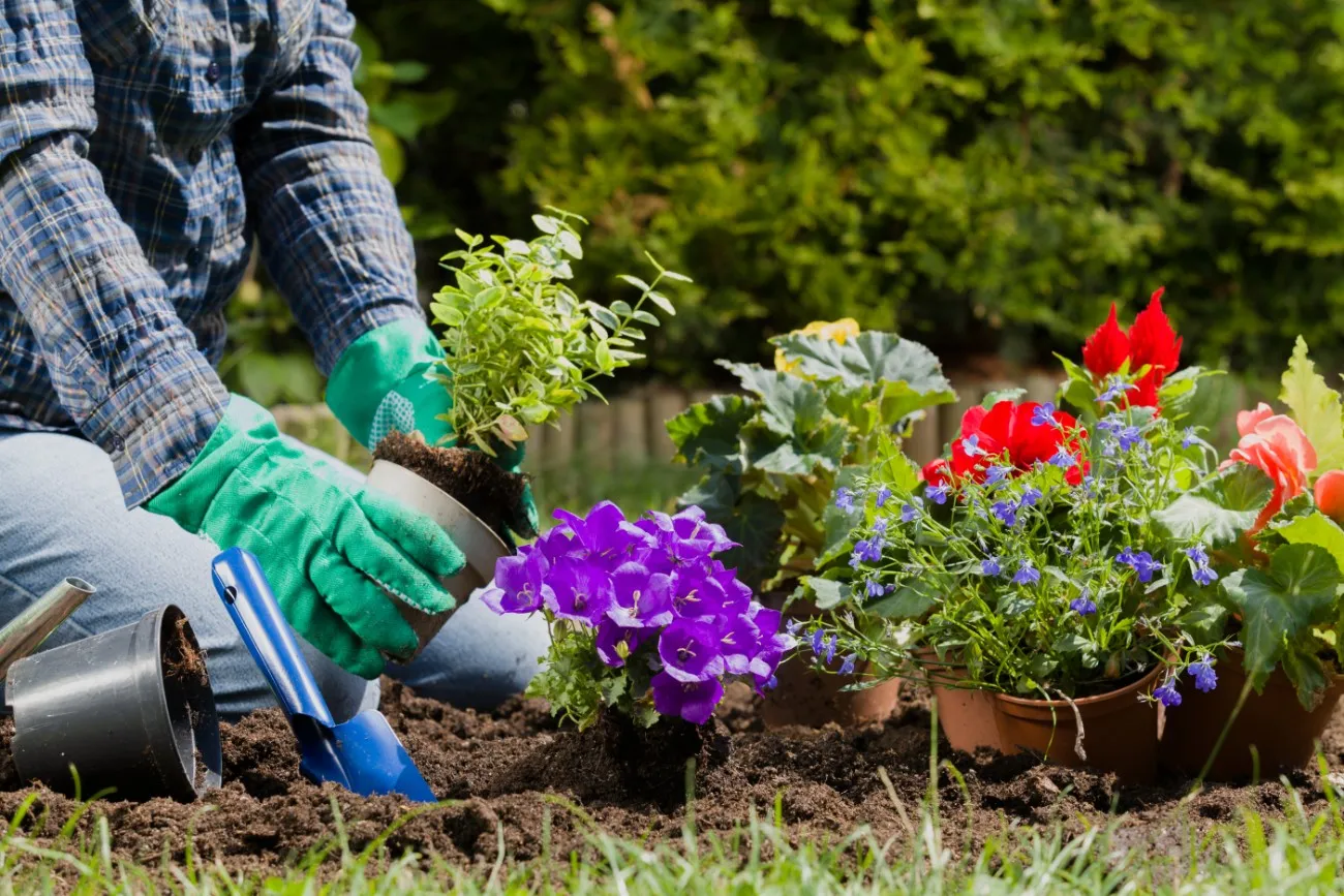 Why Now Is the Best Time to Start Gardening