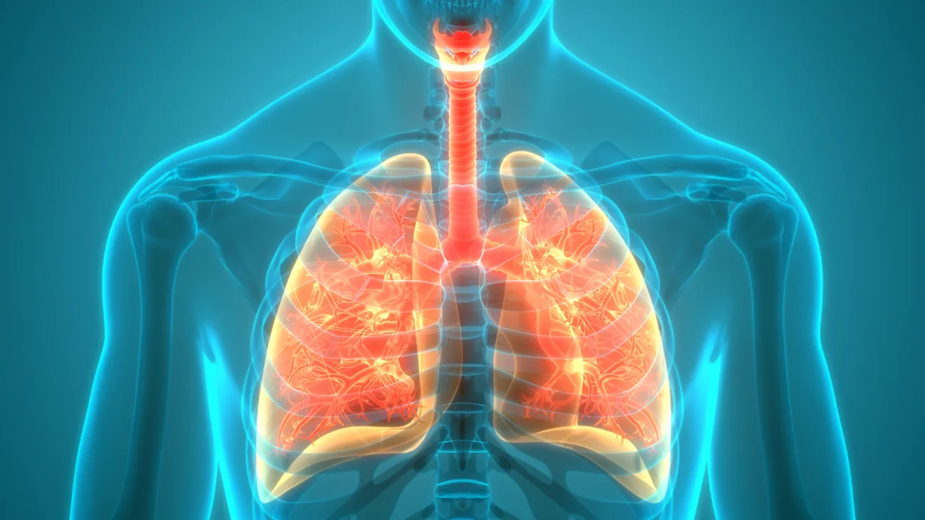Decoding Cystic Fibrosis: Comprehensive Look at its Causes and Risk Factors