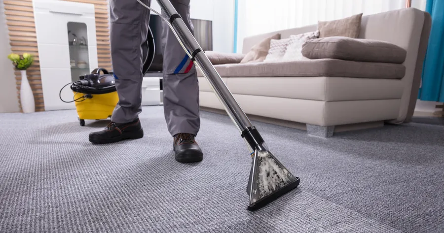 Spotless Carpet: Expert Stain Removal Services