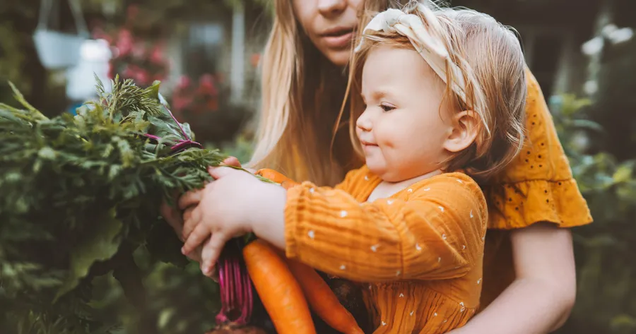 Start Your Own Vegetable Garden: Simple Steps for Beginners