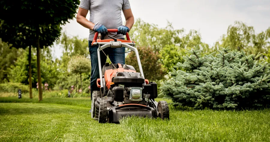The Ultimate Guide to Lawn Mowers