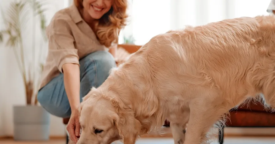 Choosing The Right Dog Breed For You and Your Lifestyle