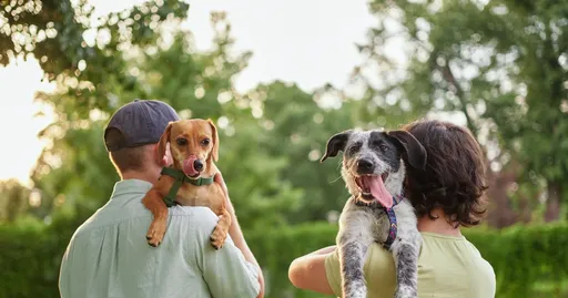 The Top Careers For Animal Lovers