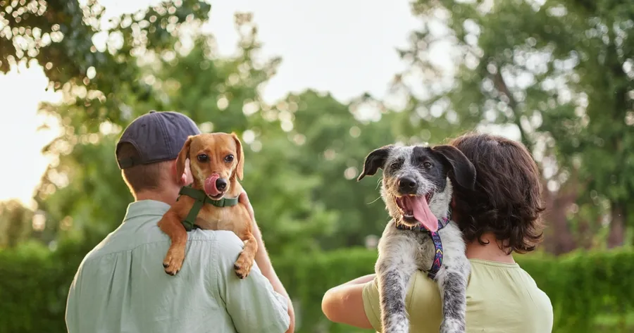 The Top Careers For Animal Lovers