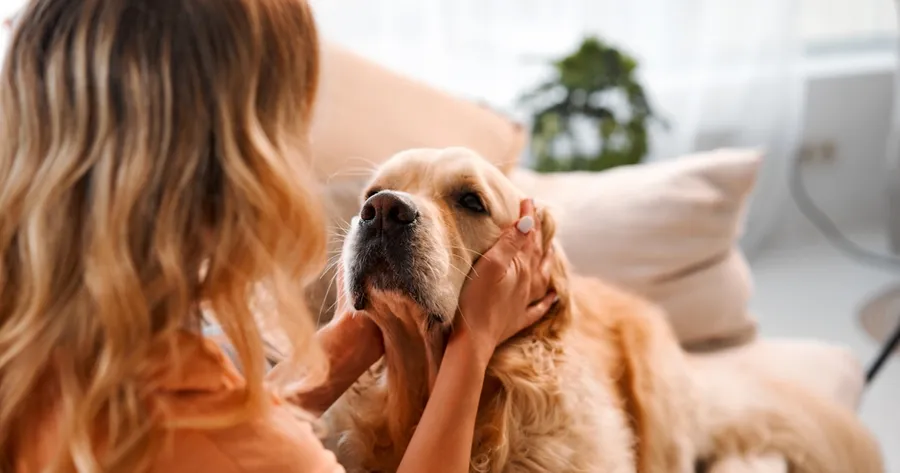 Benefits of Pet Insurance: Protect Your Furry Friend and Your Wallet