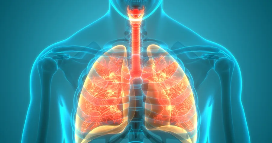 COPD: What You Need To Know