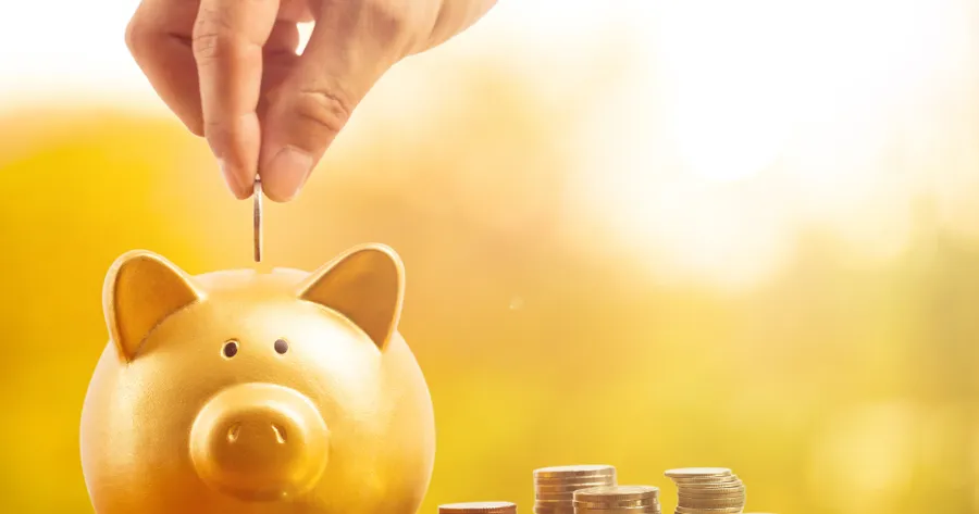 Maximize Savings: Discover High-Interest Savings Accounts