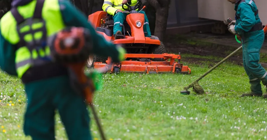 Landscaping 101: What to Do Yourself and What to Leave to the Pros