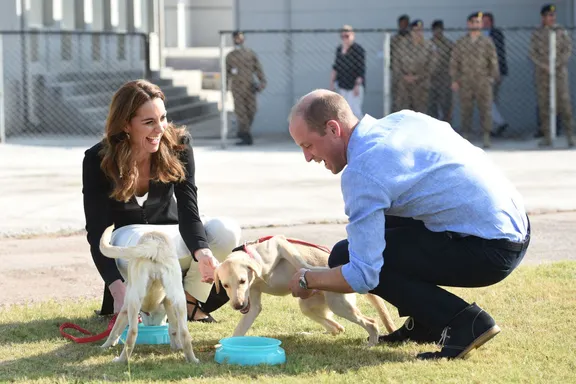 Prince William And Kate Middleton Mourn The Passing Of Family Dog Lupo