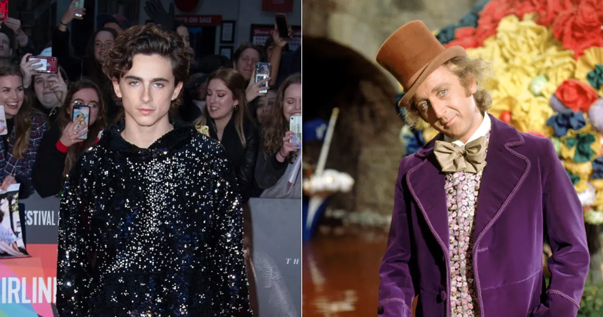 Timothée Chalamet Cast As Young Willy Wonka In Prequel Film