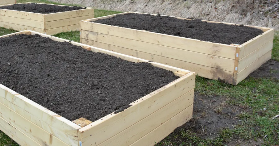 Elevating Your Garden: A Beginner’s Guide to Raised Bed Gardening