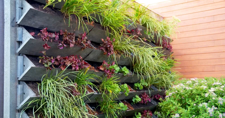 Maximizing Your Growing Space: Vertical Gardening Systems for Every Garden