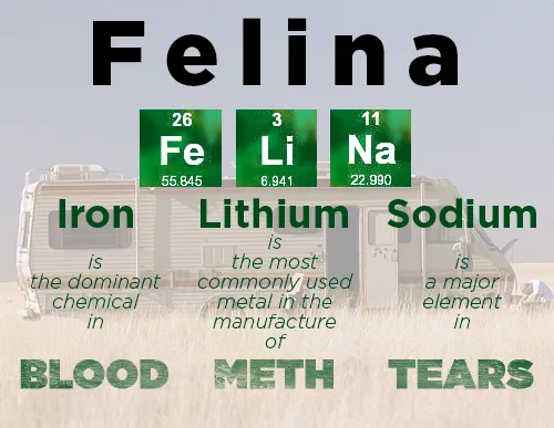 https://www.awesomelyluvvie.com/2013/09/felina-breaking-bad-finale.html Source: Awesomely Luvvie