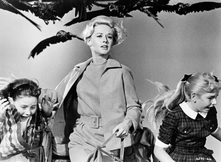 http://www.wearemoviegeeks.com/2012/10/hitchcocks-the-birds-to-descend-upon-filmgoers-at-the-academy/tippi-hedren-and-children-in-a-scene-from-the-birds-1963/ Source: Wearemoviegeeks.com