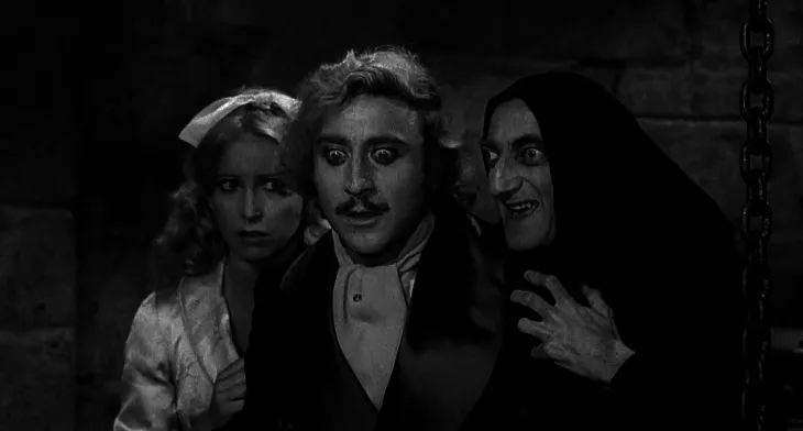 http://coleypugtalksoldmovies.blogspot.ca/2012/08/young-frankenstein.html Source: Coleypugtalksoldmovies.blogspot.ca