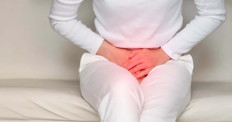 Herbal Treatment for Bladder Infections