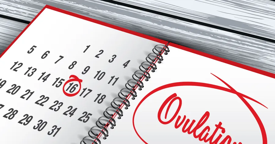 How to Detect Ovulation