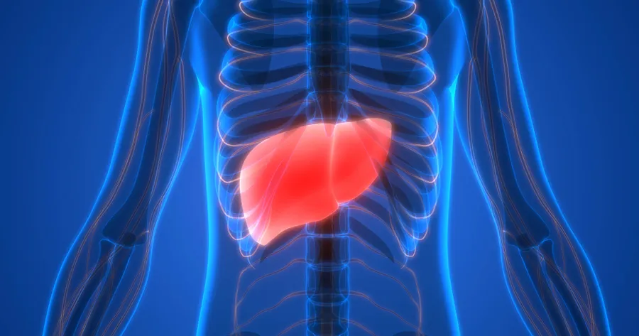 Treatment for Polycystic Liver Disease