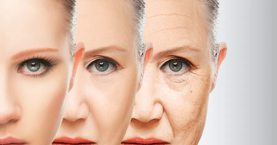 Inflammation & Aging of the Skin