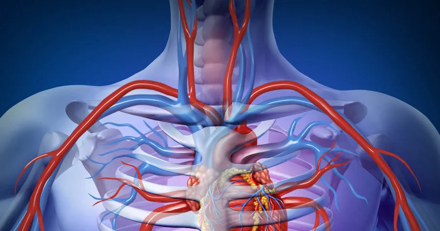 Human Respiratory System Diseases