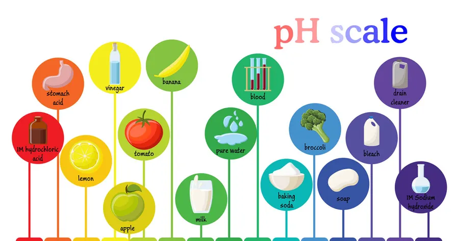 How to Make Your PH More Alkaline Naturally