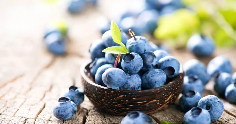 Facts About Blueberries