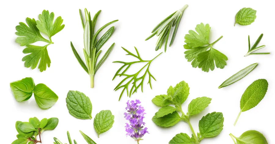 Herbs to Remove Face Moles