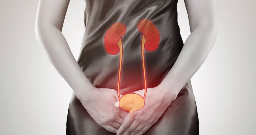 Urinary Tract Infection Conditions & Symptoms