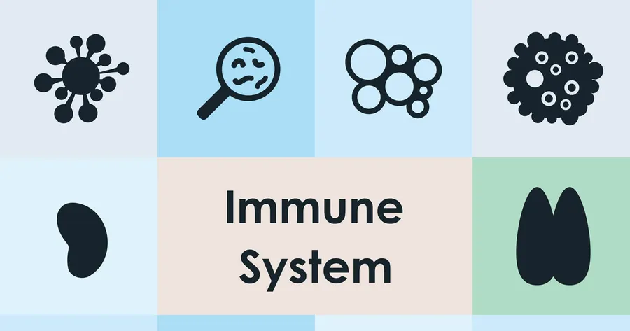 How to Boost Your Immunity