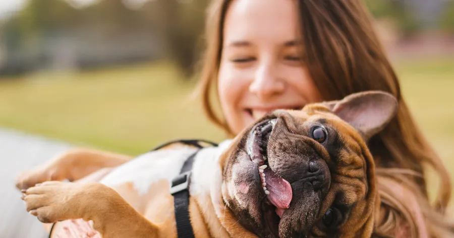 Effects of Pet Dander on Humans