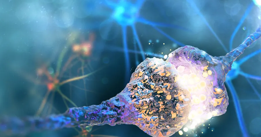 What Are Primary Neurons?