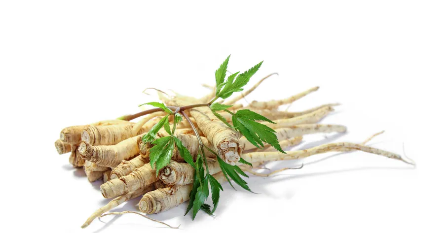 What Is Red Ginseng?