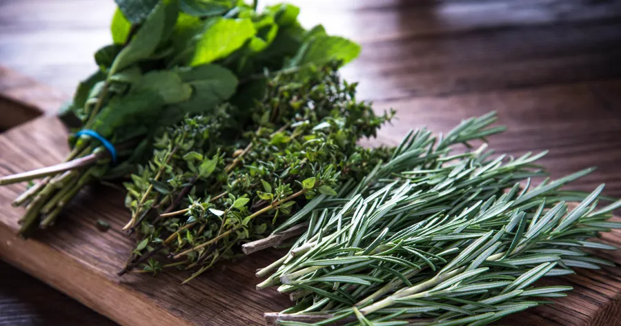 Herbs to Detox From Smoking