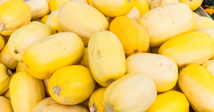 Spaghetti Squash Nutrition