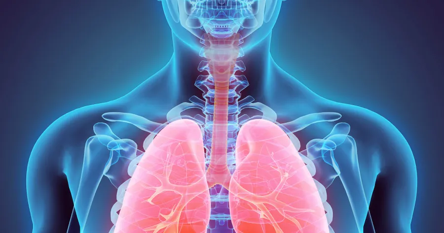 How to Compare Lungs