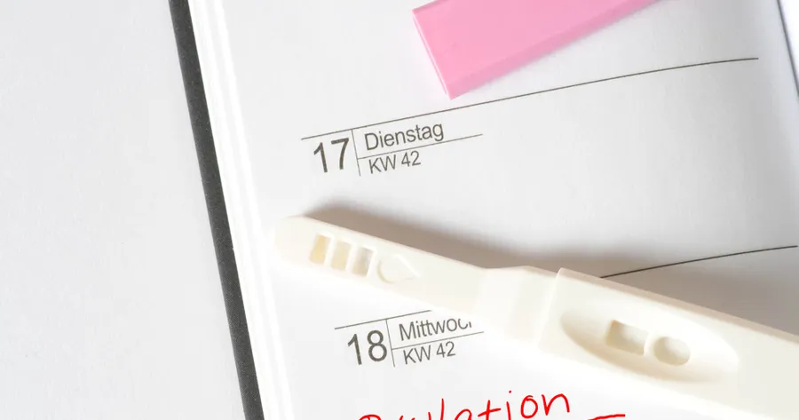 How to Use an Ovulation Predictor