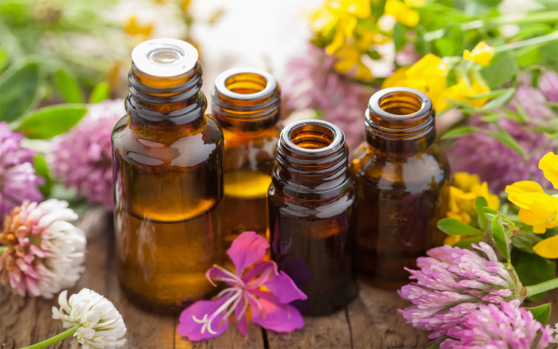 Essential Oils to Incorporate into Your Life