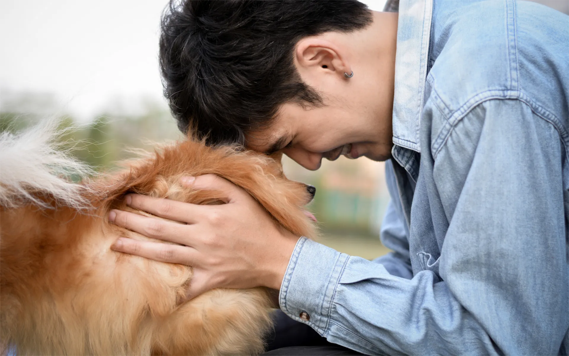 Purrfect Companions: Benefits of Owning a Pet