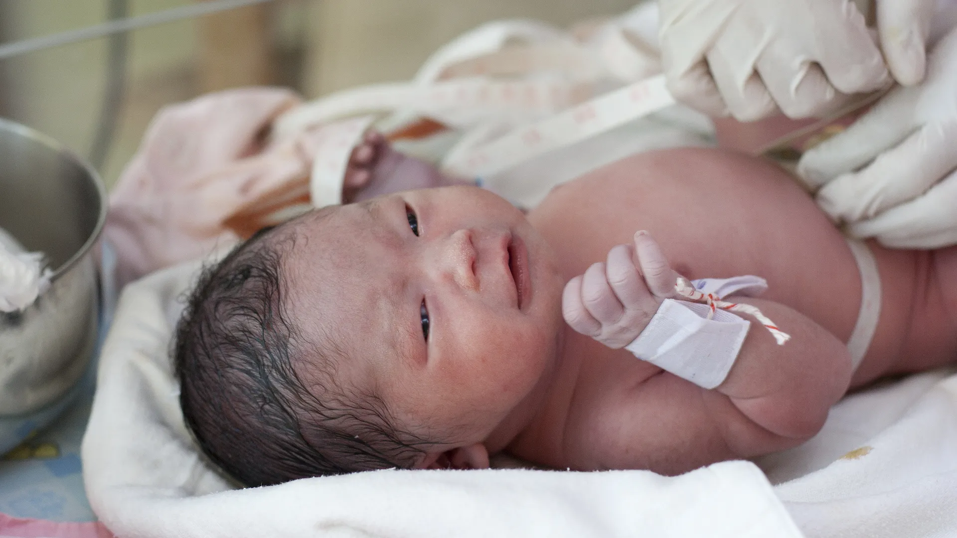 Everything You Need to Know About Cord Blood Banking