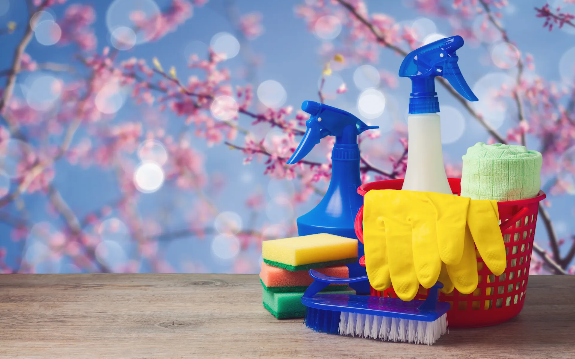 Get Your House in Order: Spring Cleaning Tips