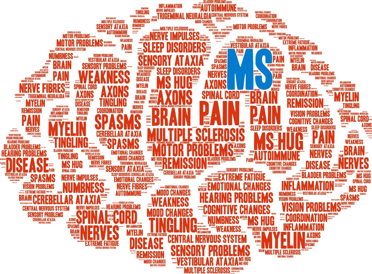 What is Multiple Sclerosis?