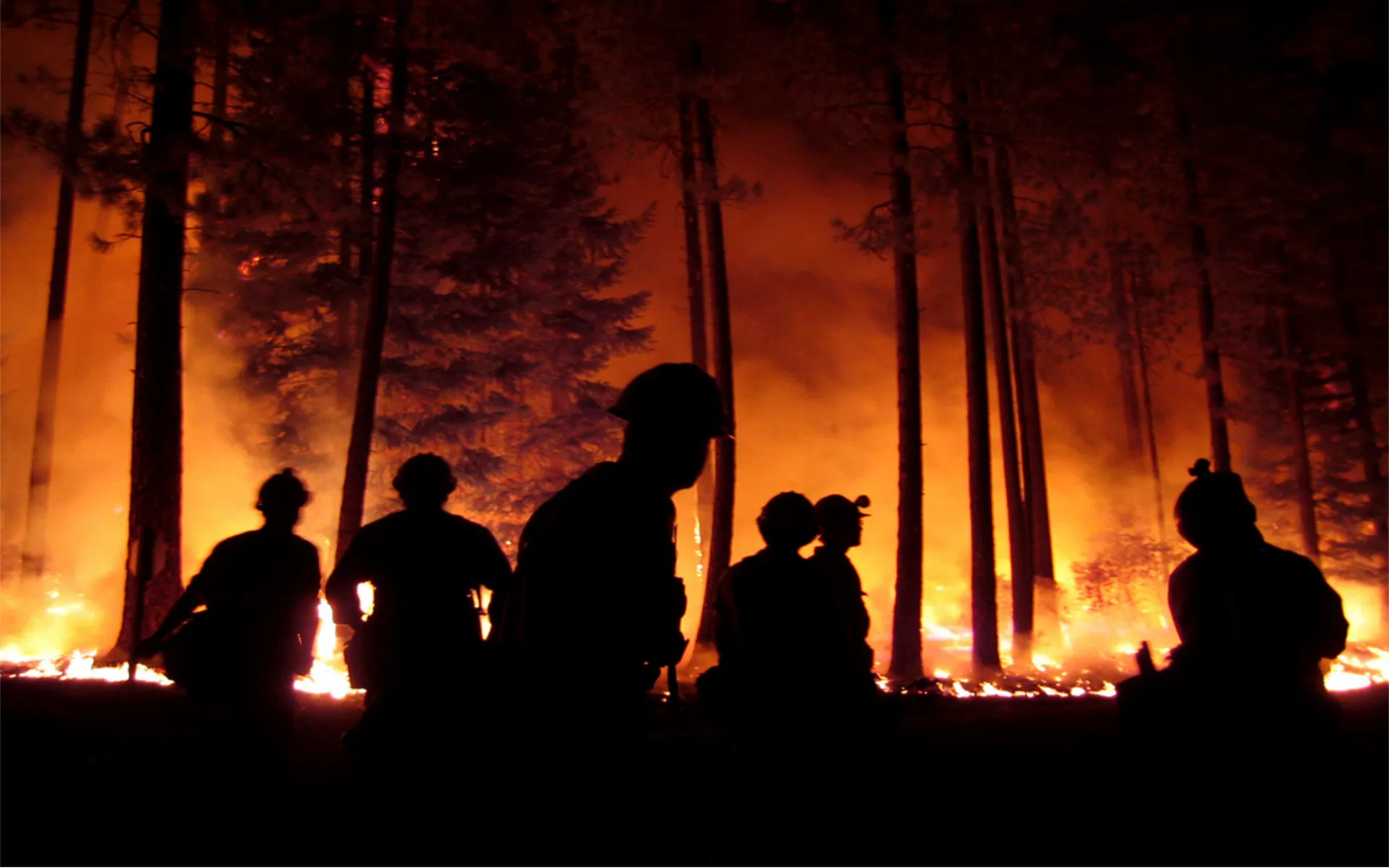 The Long-Term Health Impacts of Wildfires