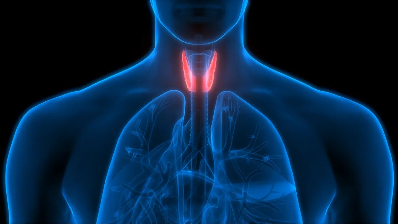Thyroid Cancer: The Symptoms, Causes and Treatments